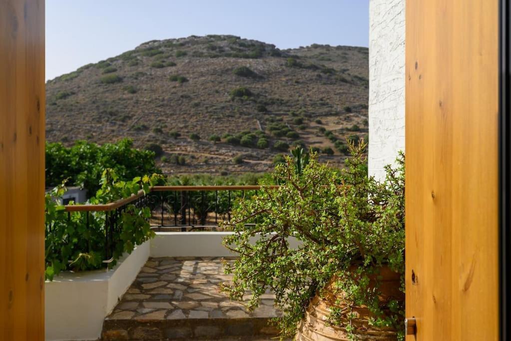 The Nektar House *