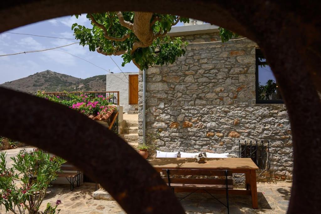 The Nektar House *