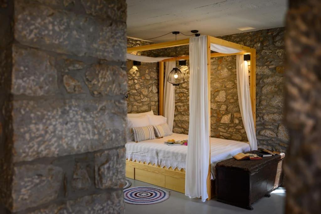The Nektar House *
