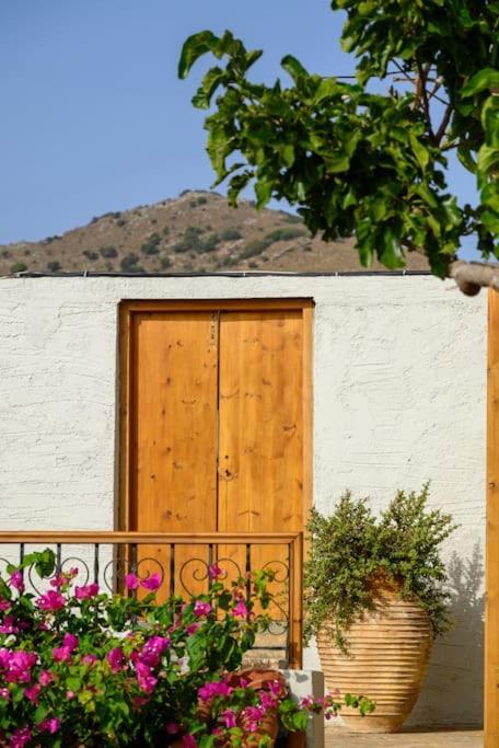 The Nektar House