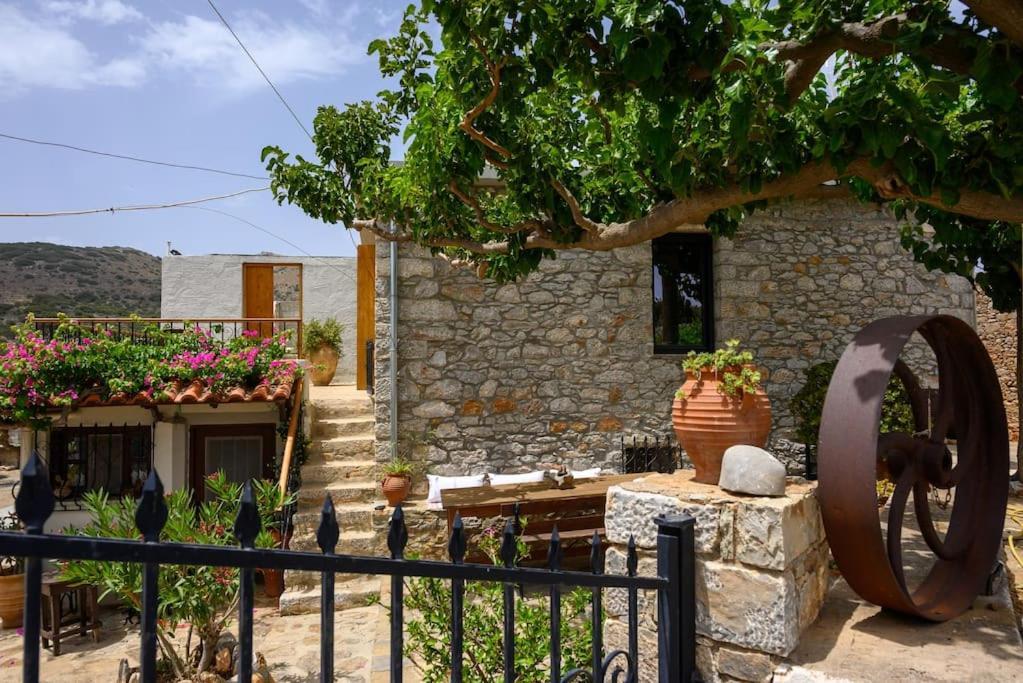 The Nektar House