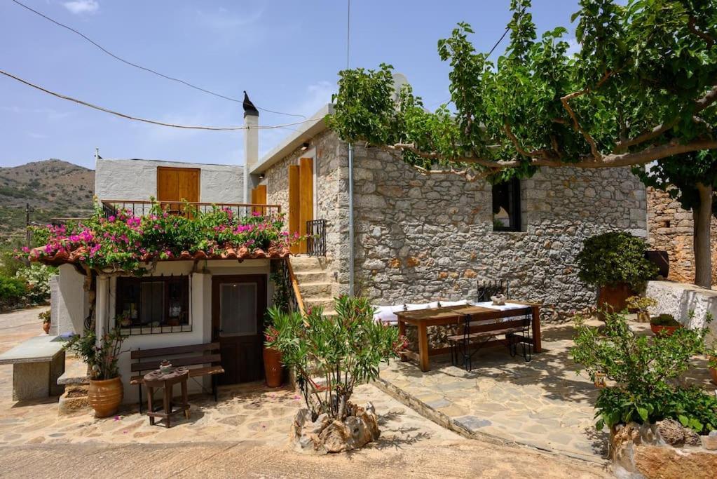 The Nektar House * Kato Loumas
