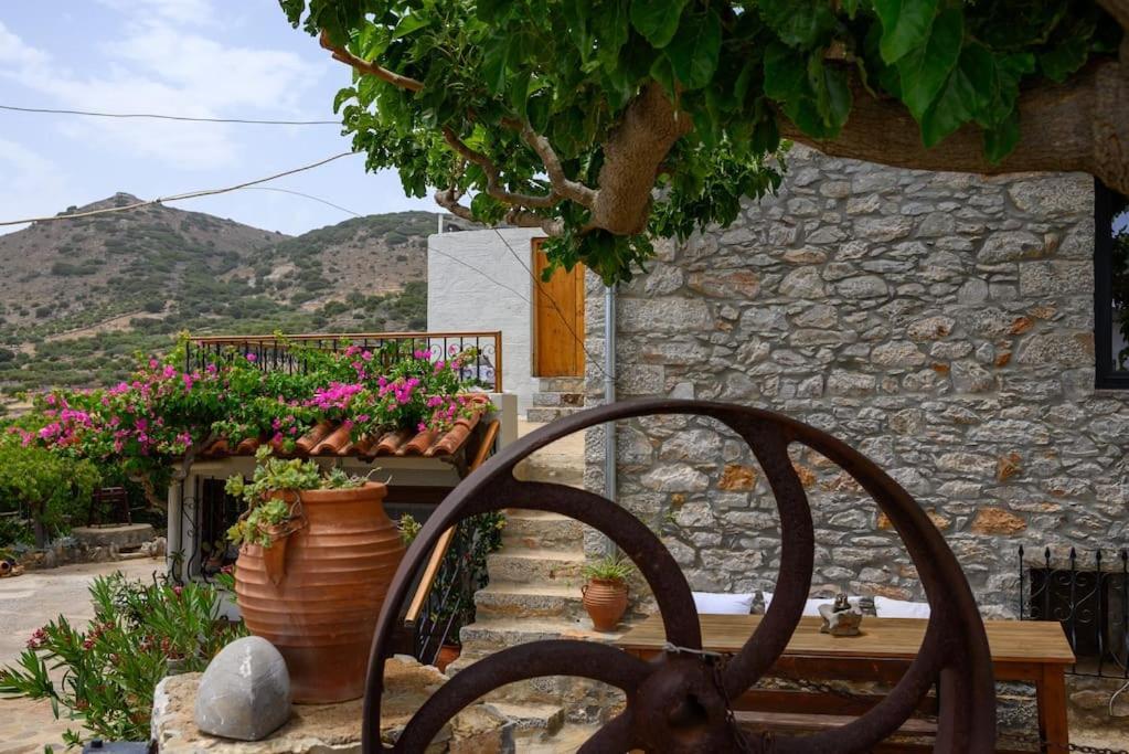 Casa vacanze The Nektar House