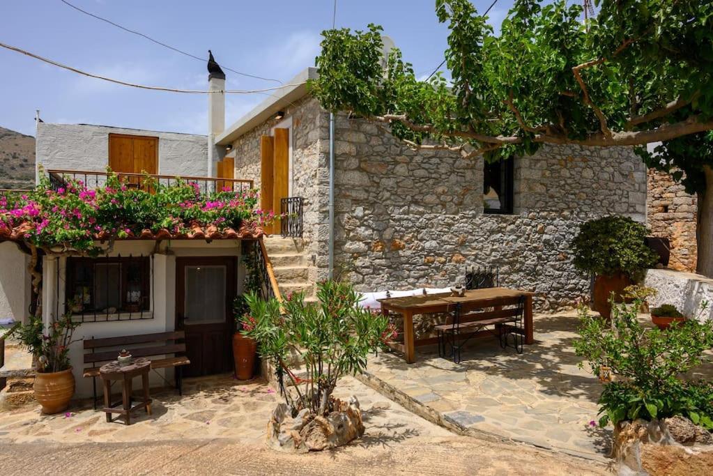 Vakantiehuis The Nektar House